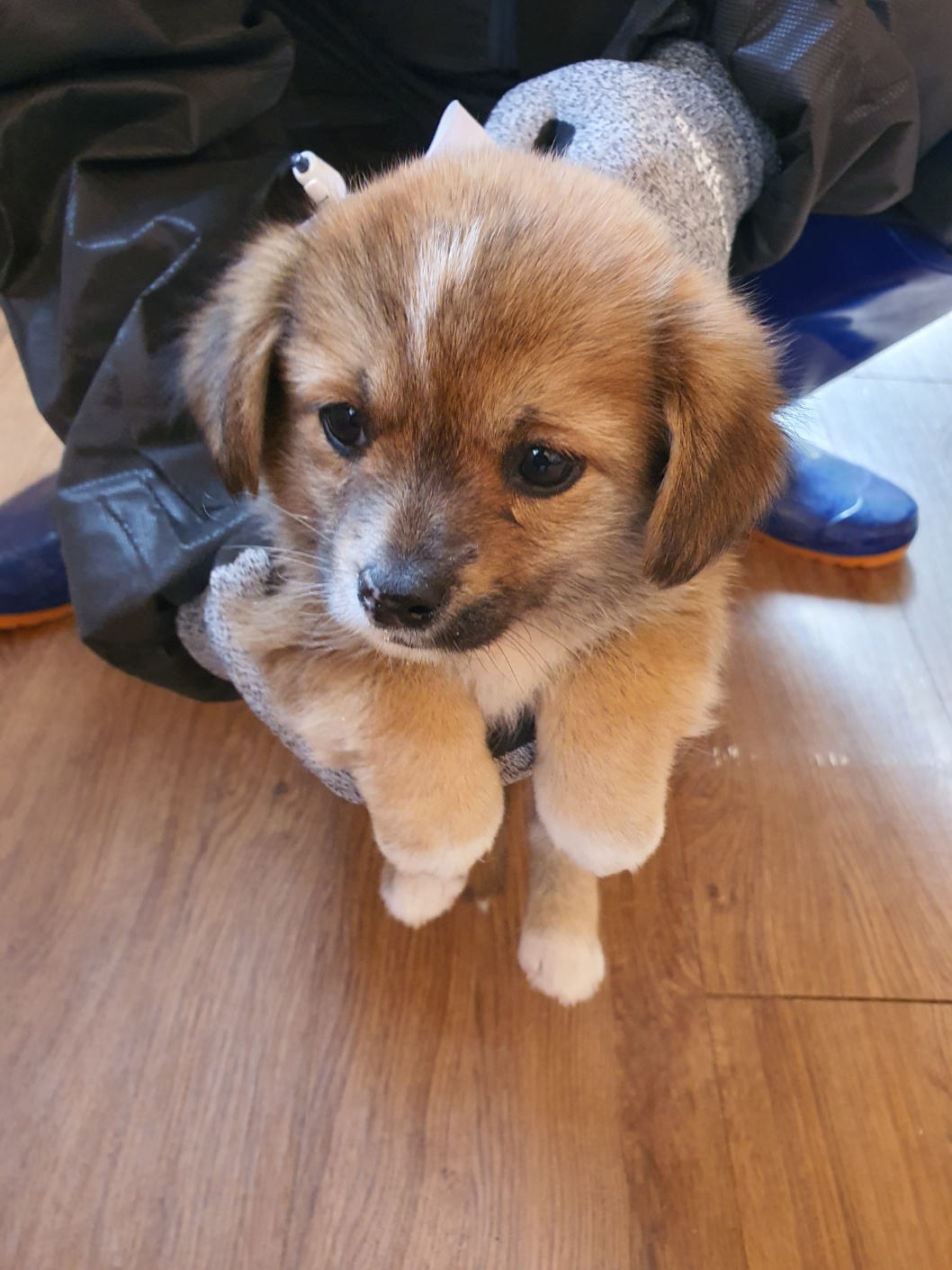 구미시 동물보호센터_447508202300647